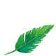 A green background with grey lines in the middle.