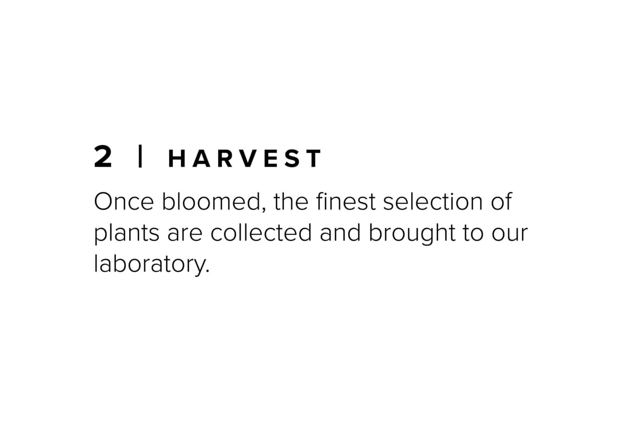 A picture of the word harvest in an english language.